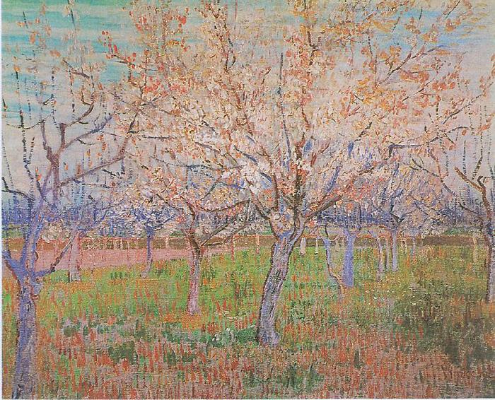 Vincent Van Gogh Orchard with flowering apricot-trees Spain oil painting art